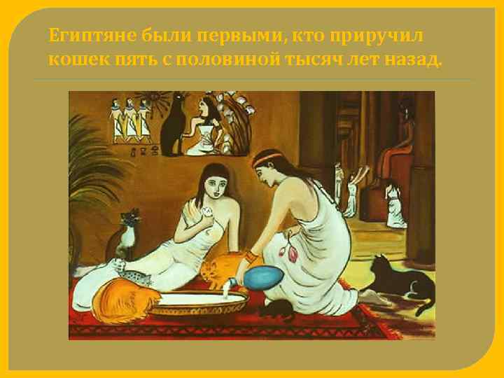 Египтяне были первыми, кто приручил кошек пять с половиной тысяч лет назад. 