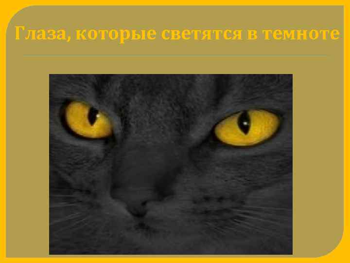 Глаза, которые светятся в темноте 