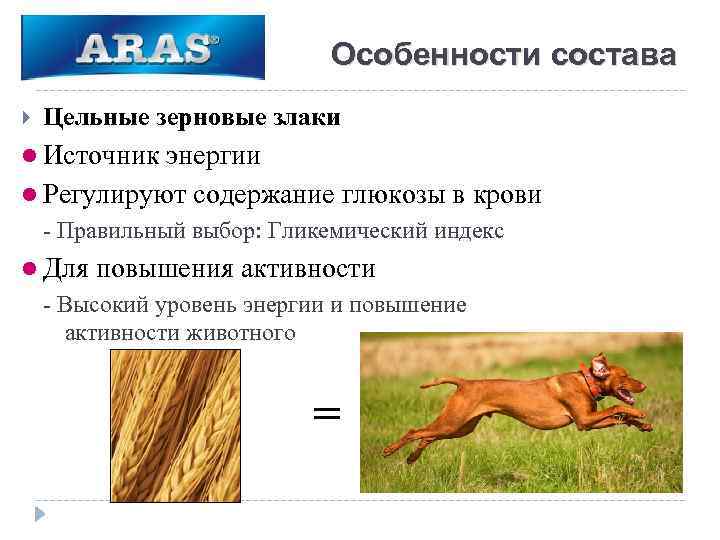 Особенности состава Цельные зерновые злаки l Источник энергии l Регулируют содержание глюкозы в крови