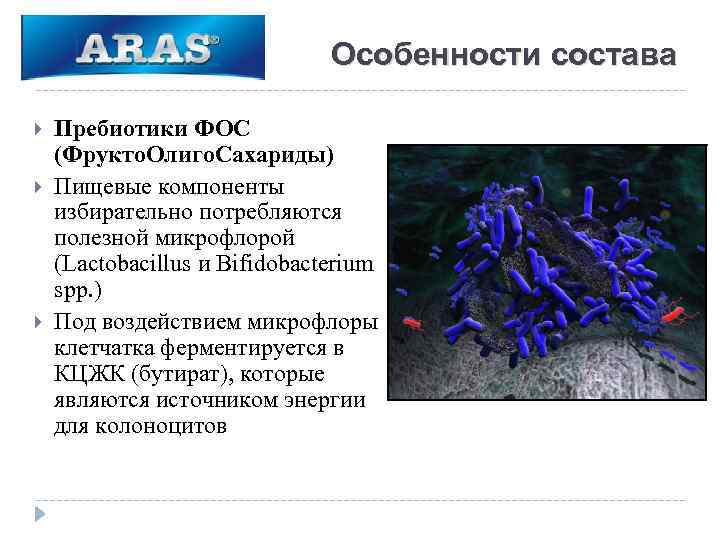 Особенности состава Пребиотики ФОС (Фрукто. Олиго. Сахариды) Пищевые компоненты избирательно потребляются полезной микрофлорой (Lactobacillus