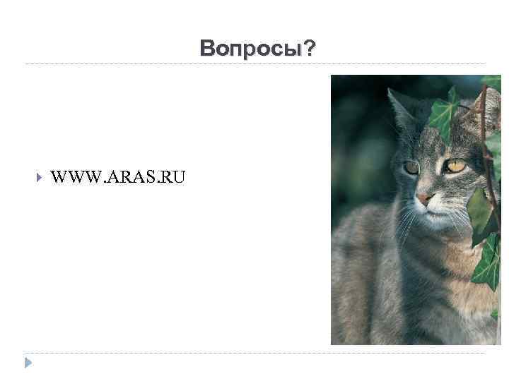 Вопросы? WWW. ARAS. RU 