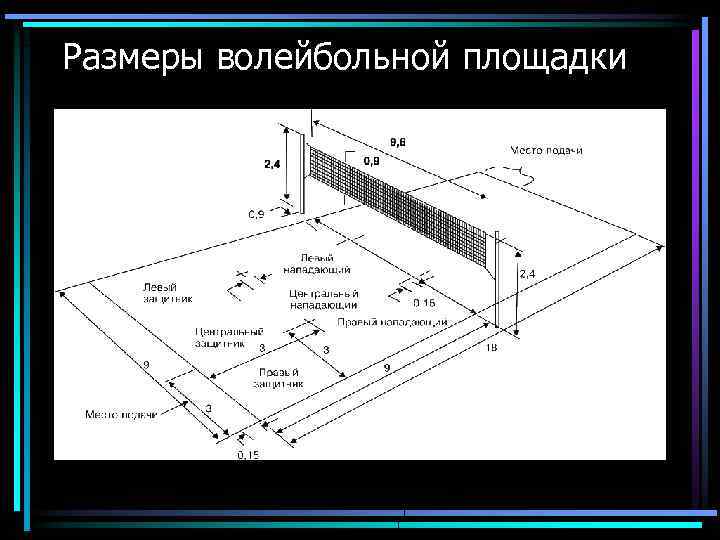 Размеры волейбольной площадки 