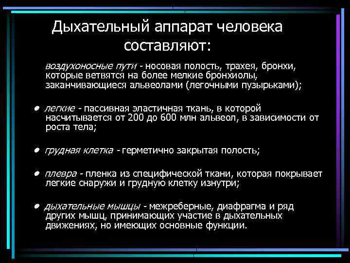 Дыхательный аппарат человека составляют: воздухоносные пути носовая полость, трахея, бронхи, которые ветвятся на более