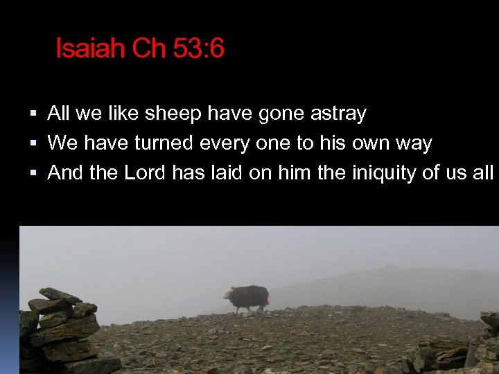 Isaiah Ch 53: 6 All we like sheep have gone astray We have turned