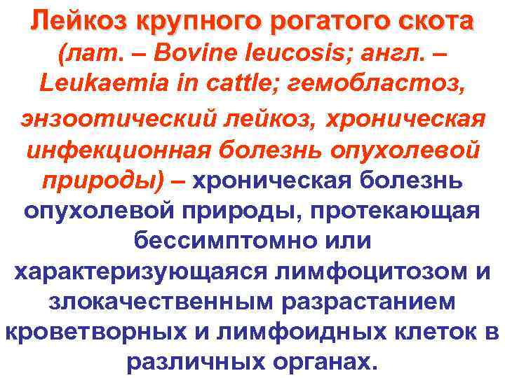 Лейкоз крупного рогатого скота (лат. – Bovine leucosis; англ. – Leukaemia in cattle; гемобластоз,