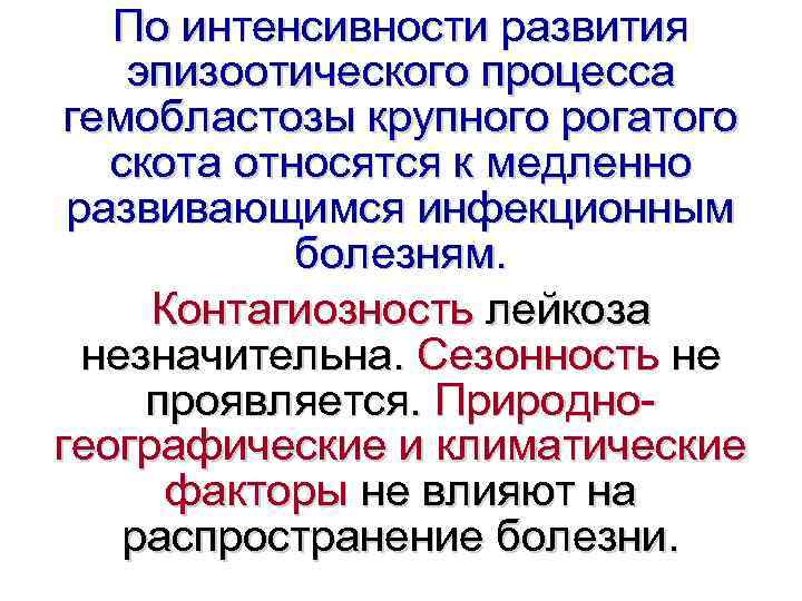 По интенсивности развития эпизоотического процесса гемобластозы крупного рогатого скота относятся к медленно развивающимся инфекционным