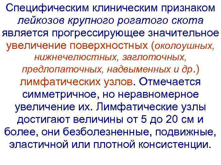 Специфическим клиническим признаком лейкозов крупного рогатого скота является прогрессирующее значительное увеличение поверхностных (околоушных, нижнечелюстных,