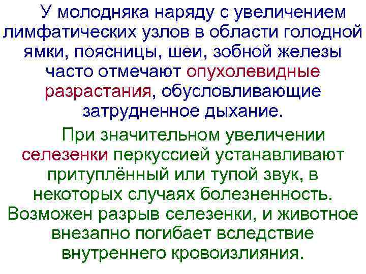 У молодняка наряду с увеличением лимфатических узлов в области голодной ямки, поясницы, шеи, зобной