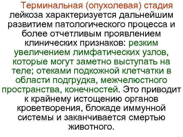 Терминальная (опухолевая) стадия лейкоза характеризуется дальнейшим развитием патологического процесса и более отчетливым проявлением клинических