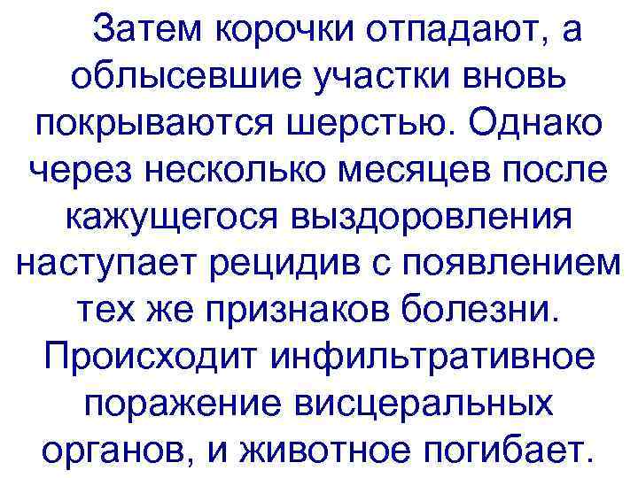 Затем корочки отпадают, а облысевшие участки вновь покрываются шерстью. Однако через несколько месяцев после