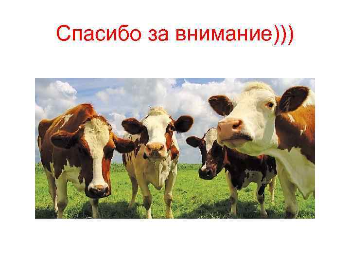 Спасибо за внимание))) 