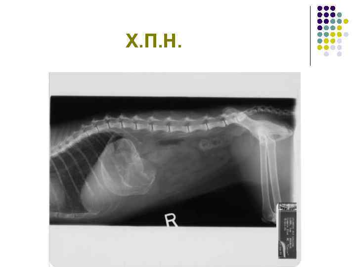 Х. П. Н. 