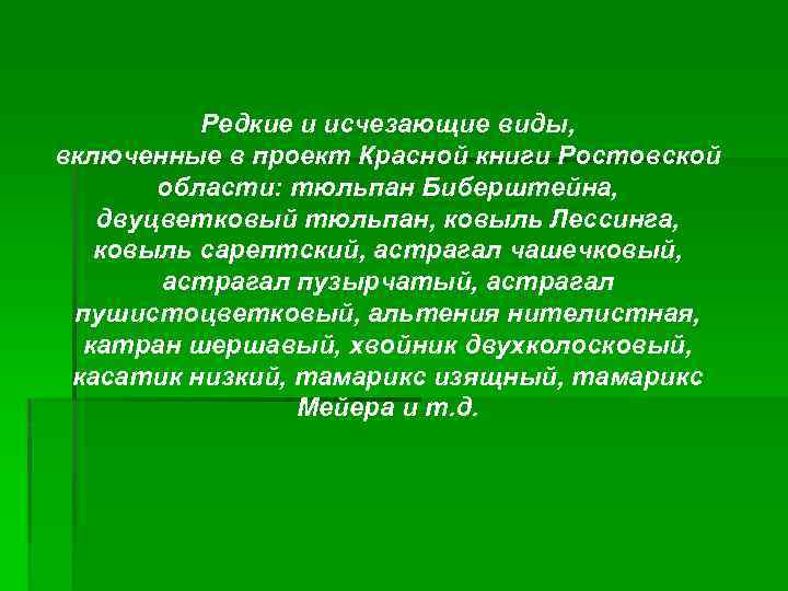 Редкие и исчезающие виды, включенные в проект Красной книги Ростовской области: тюльпан Биберштейна, двуцветковый
