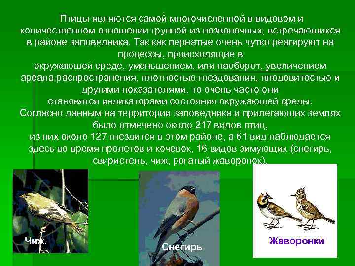  Птицы являются самой многочисленной в видовом и количественном отношении группой из позвоночных, встречающихся