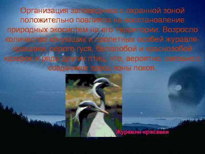 Организация заповедника с охранной зоной положительно повлияла на восстановление природных экосистем на его территории.