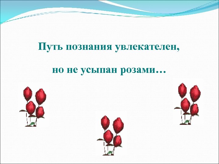 Путь познания увлекателен, но не усыпан розами… 
