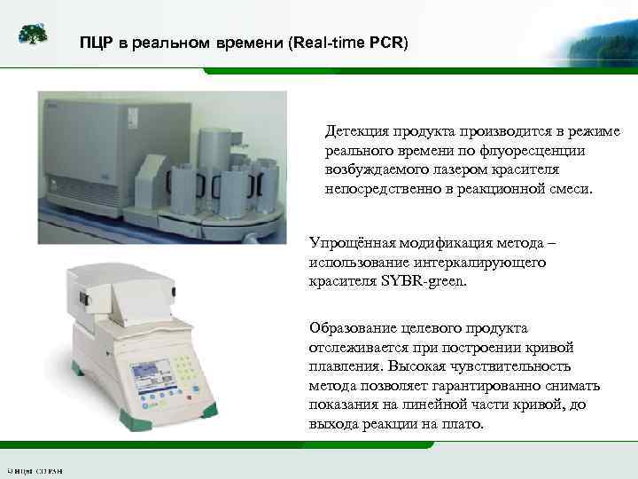 Пцр в реальном времени схема