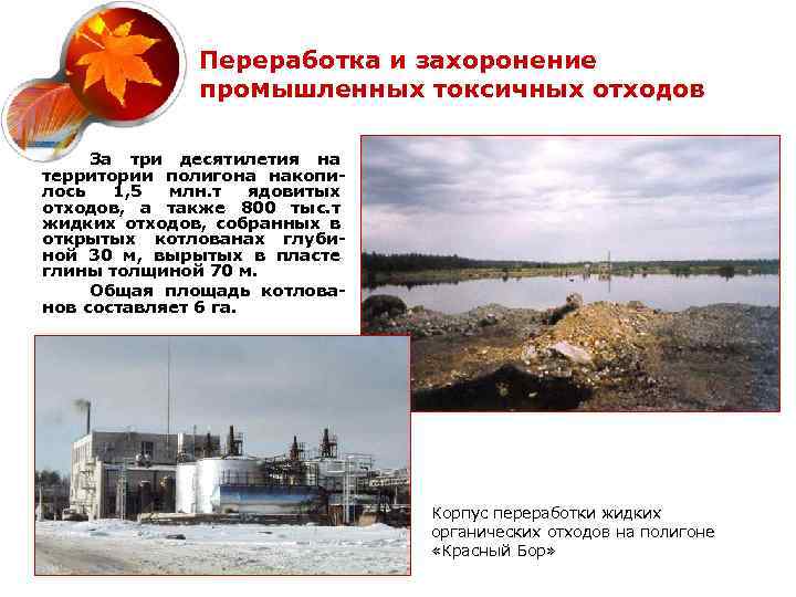 Переработка и захоронение промышленных токсичных отходов За три десятилетия на территории полигона накопилось 1,