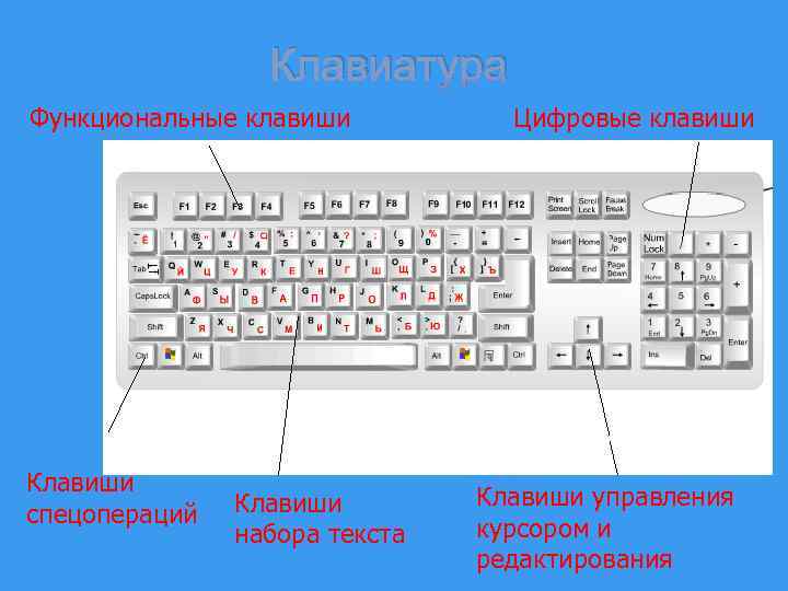 Клавиатура Функциональные клавиши Клавиши спецопераций Клавиши набора текста Цифровые клавиши Клавиши управления курсором и