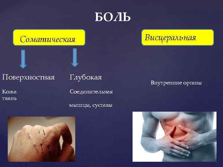 БОЛЬ Соматическая Поверхностная Глубокая Кожа ткань Соединительная мышцы, суставы Висцеральная Внутренние органы 