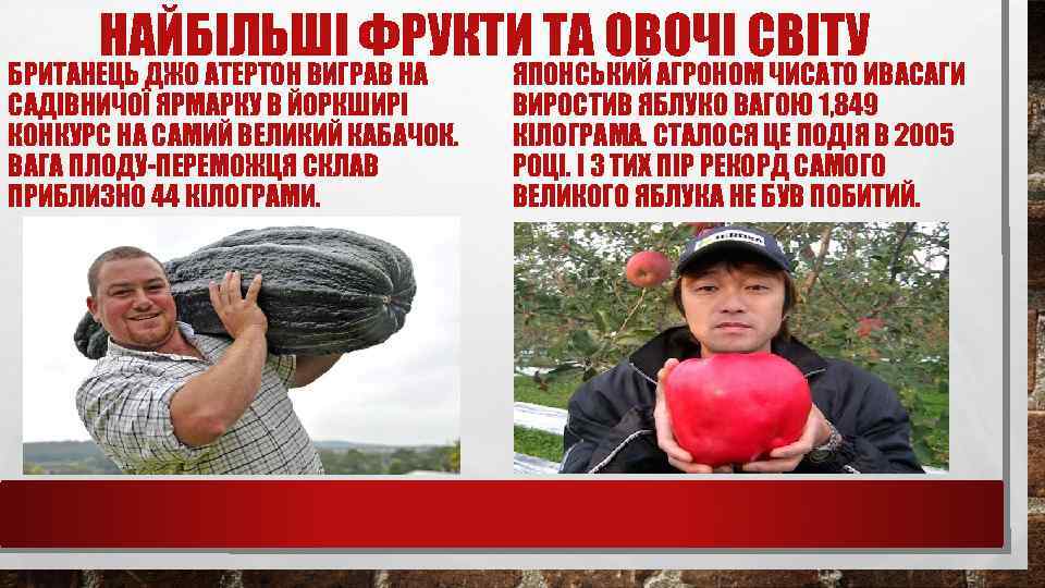 НАЙБІЛЬШІ ФРУКТИ ТА ОВОЧІ СВІТУ БРИТАНЕЦЬ ДЖО АТЕРТОН ВИГРАВ НА САДІВНИЧОЇ ЯРМАРКУ В ЙОРКШИРІ