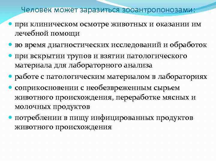 Человек может заразиться зооантропонозами: при клиническом осмотре животных и оказании им лечебной помощи во