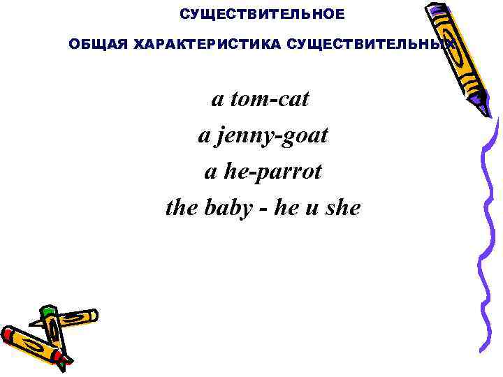 СУЩЕСТВИТЕЛЬНОЕ ОБЩАЯ ХАРАКТЕРИСТИКА СУЩЕСТВИТЕЛЬНЫХ a tom cat a jenny goat a he parrot the