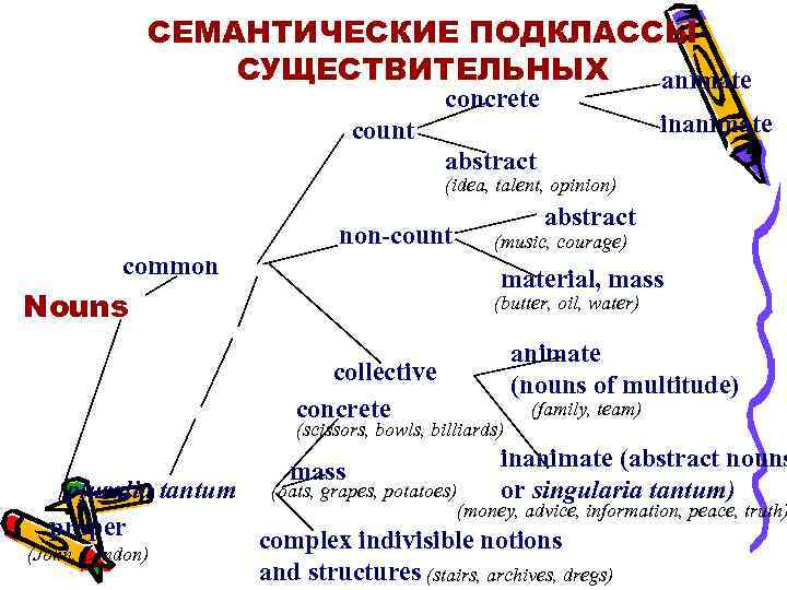 СЕМАНТИЧЕСКИЕ ПОДКЛАССЫ СУЩЕСТВИТЕЛЬНЫХ animate concrete inanimate count abstract (idea, talent, opinion) non count common