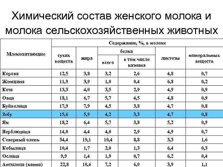 Молоко белки жиры и углеводы