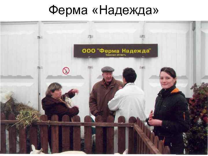 Ферма «Надежда» 
