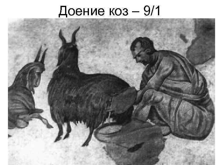 Доение коз – 9/1 