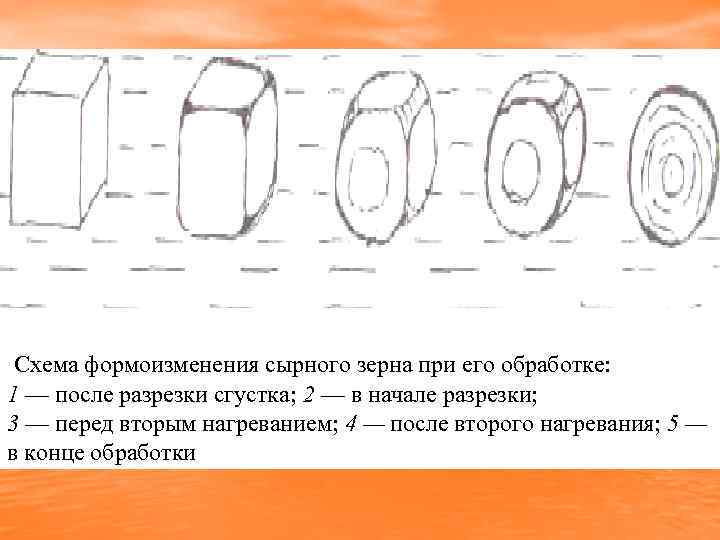 Схема формоизменения сырного зерна при его обработке: 1 — после разрезки сгустка; 2 —