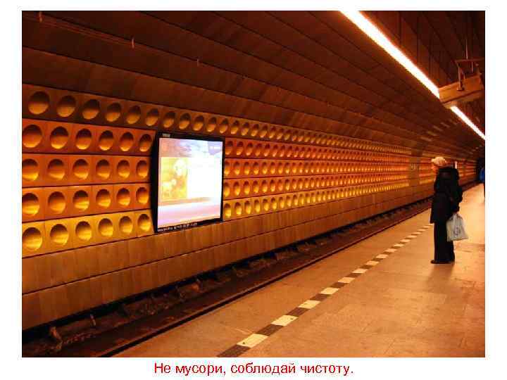Не мусори, соблюдай чистоту. 