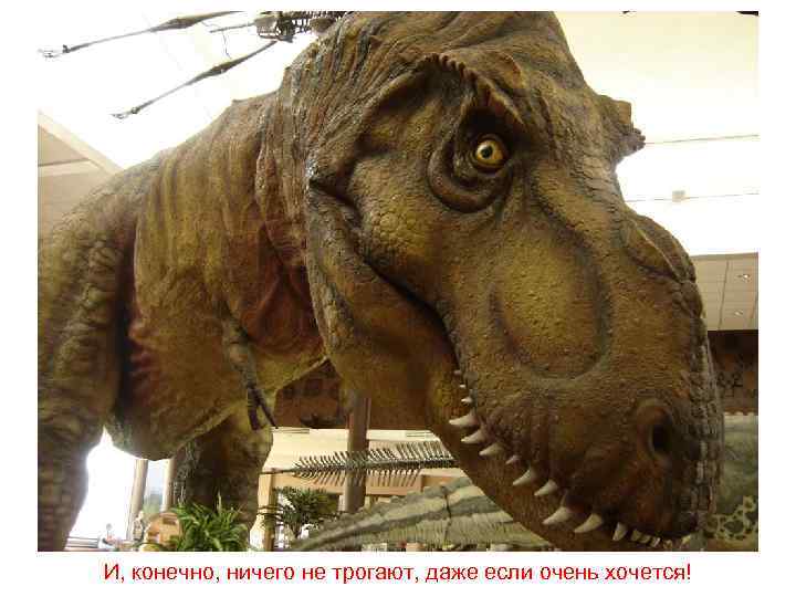 И, конечно, ничего не трогают, даже если очень хочется! 