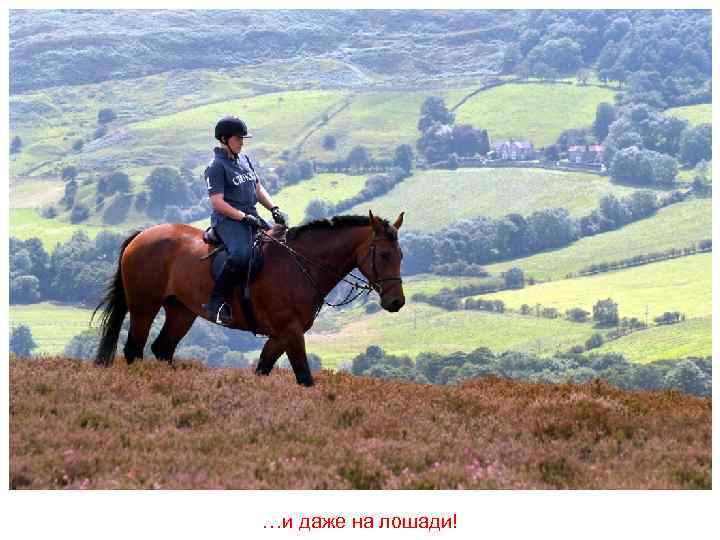 …и даже на лошади! 