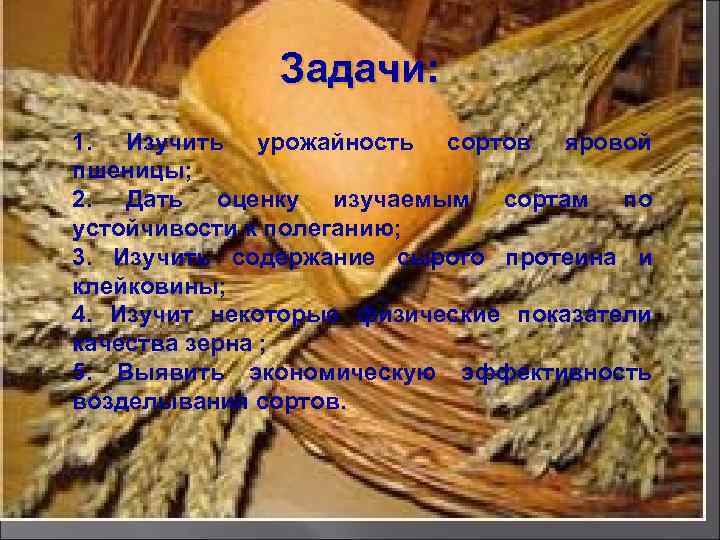 Задачи: 1. Изучить урожайность сортов яровой пшеницы; 2. Дать оценку изучаемым сортам по устойчивости