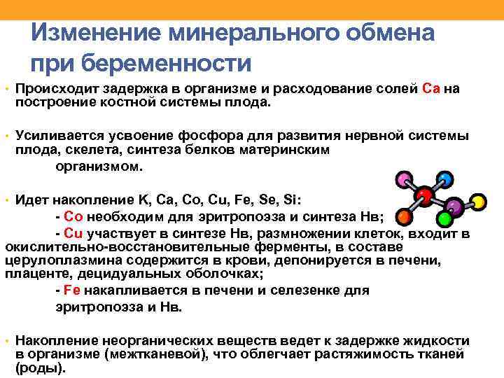 Обмен Минеральных солей в организме схема. Изменения в организме женщины при беременности.