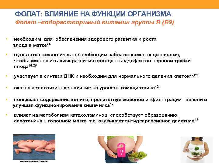 ФОЛАТ: ВЛИЯНИЕ НА ФУНКЦИИ ОРГАНИЗМА Фолат –водорастворимый витамин группы В (В 9) • необходим