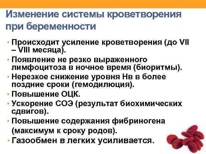 Изменение системы кроветворения при беременности • Происходит усиление кроветворения (до VII – VIII месяца).