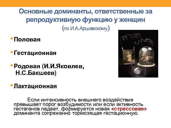 Основные доминанты, ответственные за репродуктивную функцию у женщин (по И. А. Аршавскому) • Половая