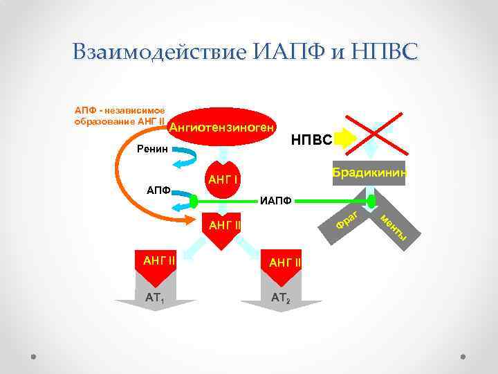 Взаимодействие ИАПФ и НПВС АПФ - независимое образование АНГ II Ангиотензиноген Ренин АПФ НПВС