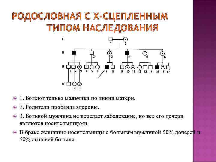 РОДОСЛОВНАЯ С Х-СЦЕПЛЕННЫМ ТИПОМ НАСЛЕДОВАНИЯ 1. Болеют только мальчики по линии матери. 2. Родители