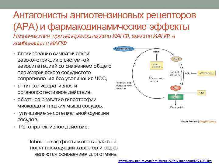 Антагонисты ангиотензиновых рецепторов (АРА) и фармакодинамические эффекты Назначаются при непереносимости ИАПФ, вместо ИАПФ, в