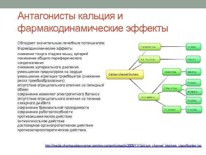 Антагонисты кальция и фармакодинамические эффекты Обладают значительным лечебным потенциалом. Фармкодинамические эффекты снижение тонуса гладких