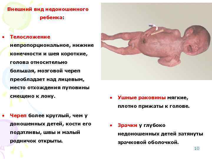 Внешний вид недоношенного ребенка: • Телосложение непропорциональное, нижние конечности и шея короткие, голова относительно