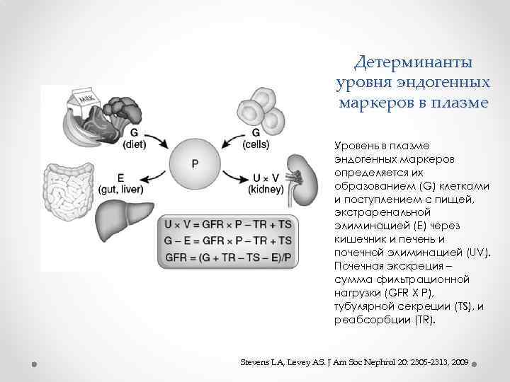 Детерминанты уровня эндогенных маркеров в плазме Уровень в плазме эндогенных маркеров определяется их образованием