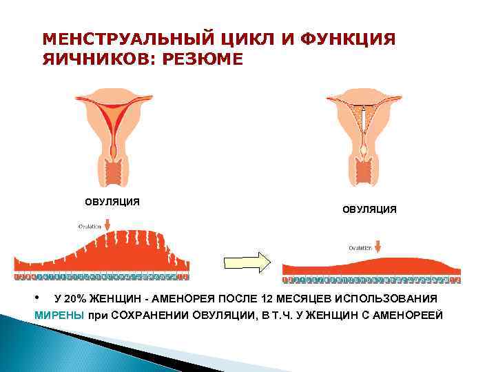 МЕНСТРУАЛЬНЫЙ ЦИКЛ И ФУНКЦИЯ ЯИЧНИКОВ: РЕЗЮМЕ ОВУЛЯЦИЯ • ОВУЛЯЦИЯ У 20% ЖЕНЩИН - АМЕНОРЕЯ