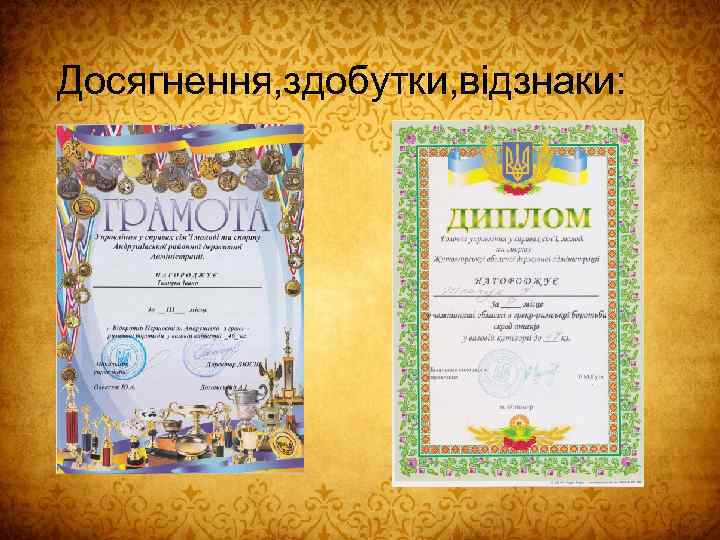 Досягнення, здобутки, відзнаки: 