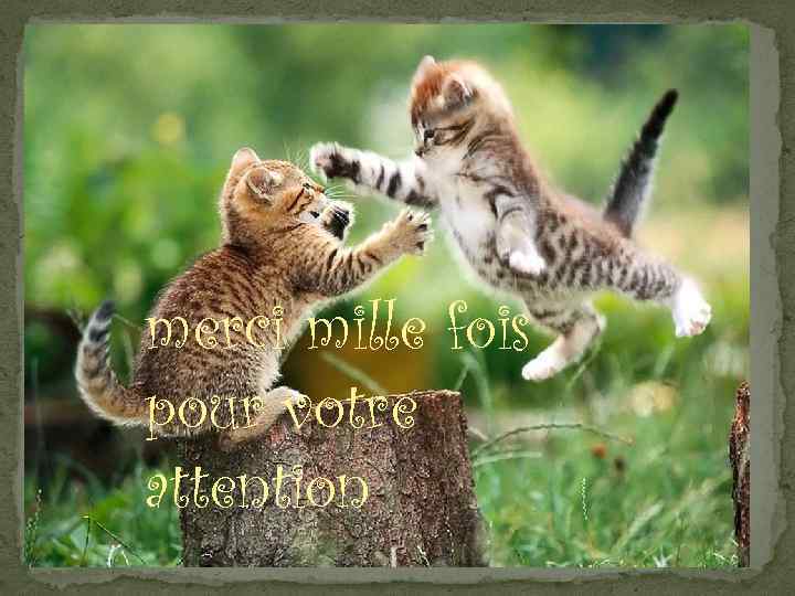  merci mille fois pour votre attention 