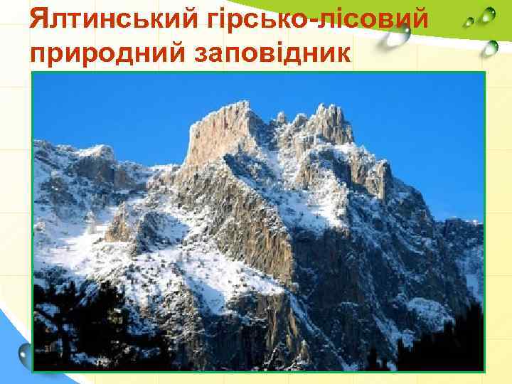 Ялтинський гірсько-лісовий природний заповідник 